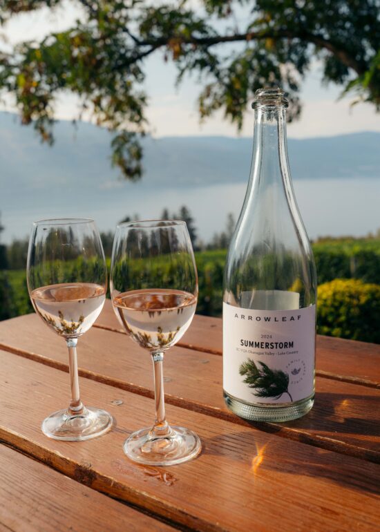 light, photography, brand, paddleboard, surf