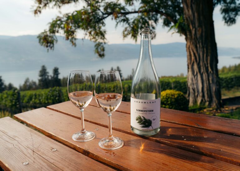 light, photography, brand, paddleboard, surf